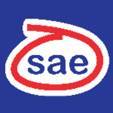 Asia co ltd. Компания SAE Франция.